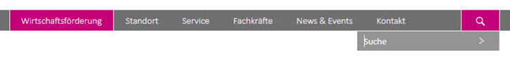 Screenshot Suchfunktion